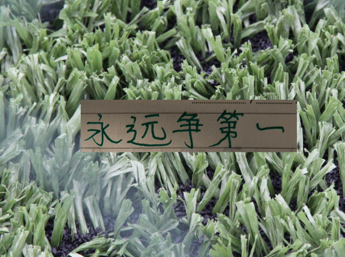 MK体育app下载-青岛海牛会战胜北京国安吗|上海海港|中超|上海申花|上海申花足球俱乐部|中超联赛_新浪体育_新浪新闻